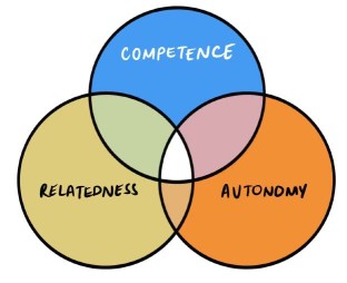 Competence relatedness and autonomy